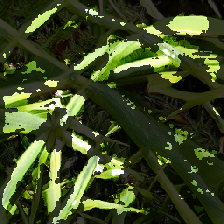 layer4-5