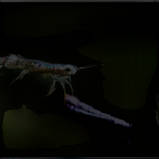 layer3-244