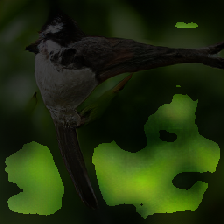 layer3-244