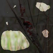 layer2-608