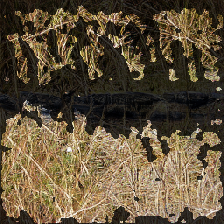 layer3-46