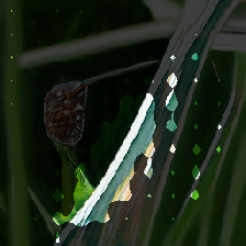 layer2-63