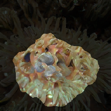 layer2-417
