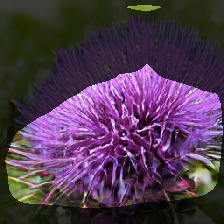 layer1-440