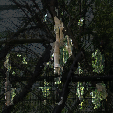 layer3-247