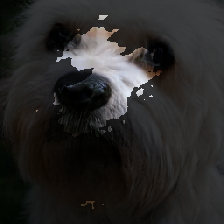 layer3-248