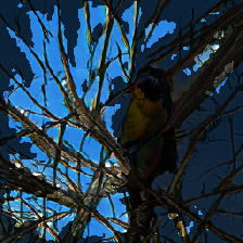layer3-248