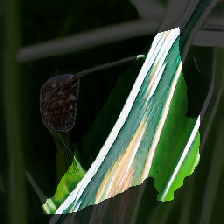 layer2-65