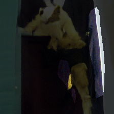 layer1-441