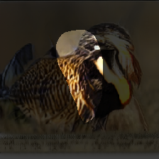 layer1-441