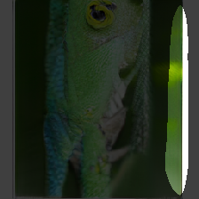 layer1-441