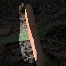 layer1-441