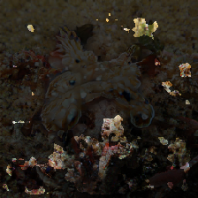 layer3-249