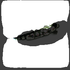 layer2-419