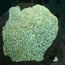 layer2-149