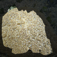 layer2-149
