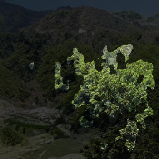 layer3-251