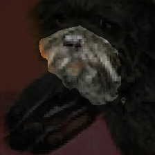 layer2-69