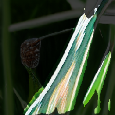 layer2-422