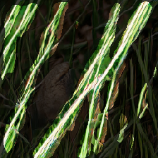 layer2-422