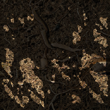 layer3-253