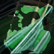 layer2-423