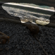 layer1-448