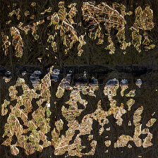 layer3-257