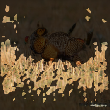 layer3-257