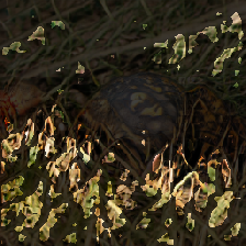 layer3-257