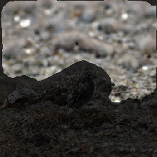 layer3-259