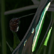 layer2-621
