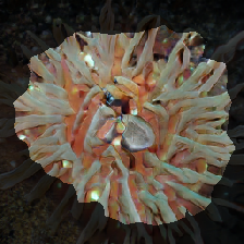 layer2-429