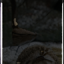 layer3-59