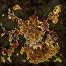 layer2-431