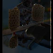 layer4-7