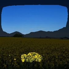 layer2-432