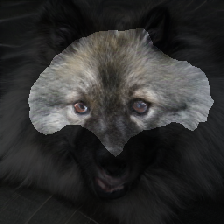 layer2-150