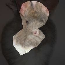 layer0-1445