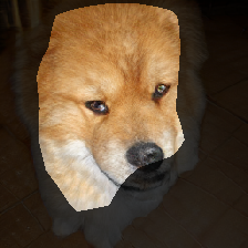 layer0-1445