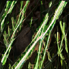layer3-267
