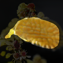 layer1-461