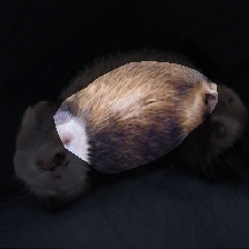 layer1-461