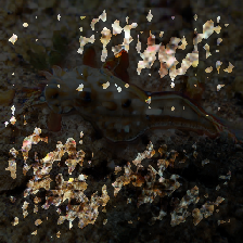 layer3-67