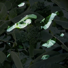 layer2-87