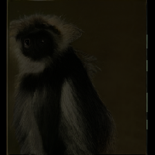 layer3-268