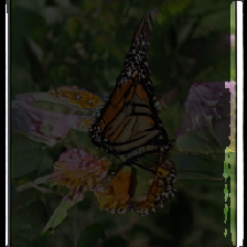 layer3-68