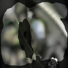 layer2-88
