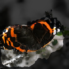 layer2-436