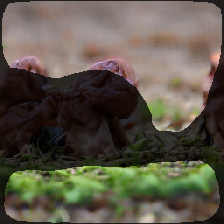 layer2-437